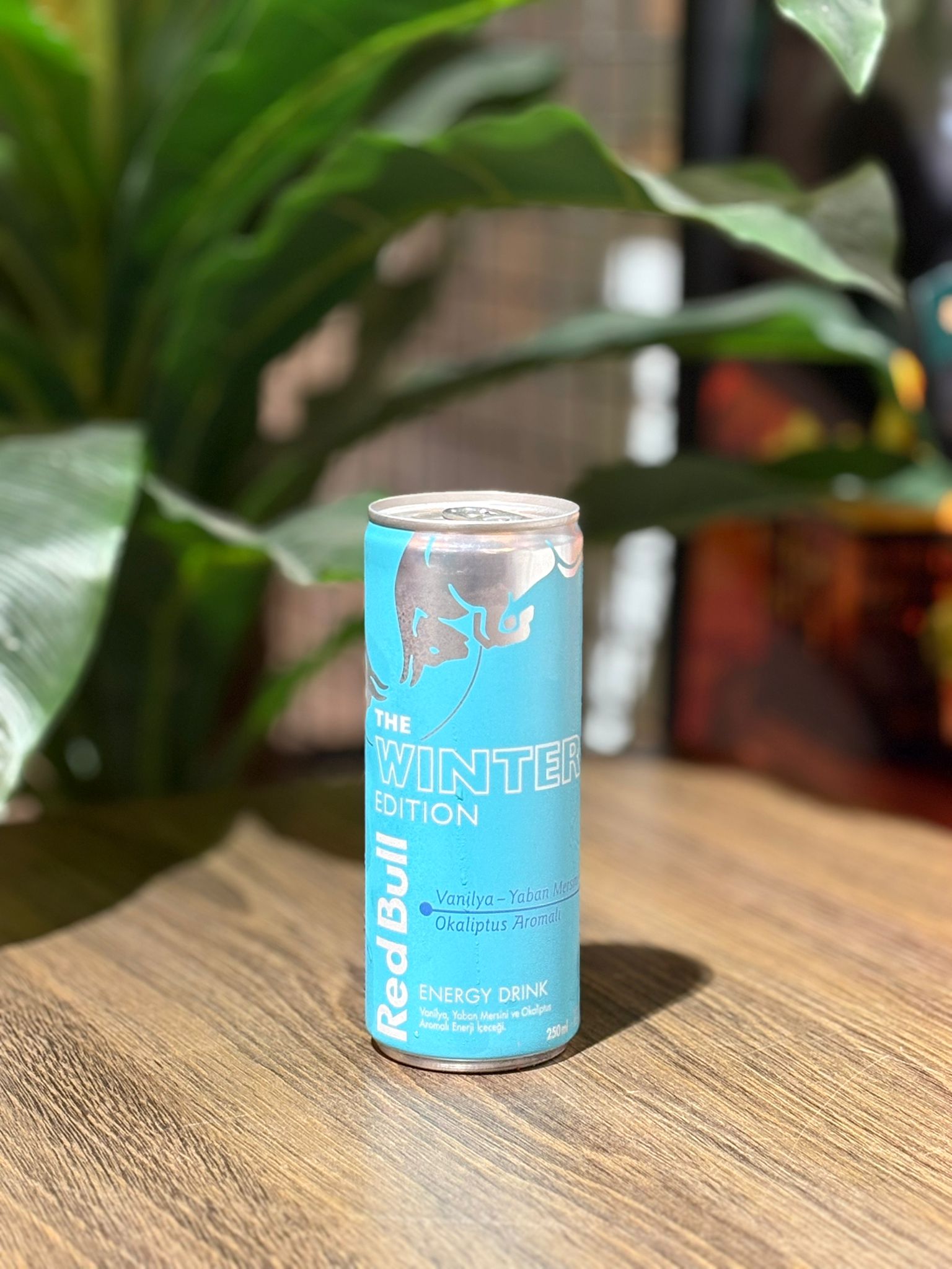 REDBULL WINTER EDITION